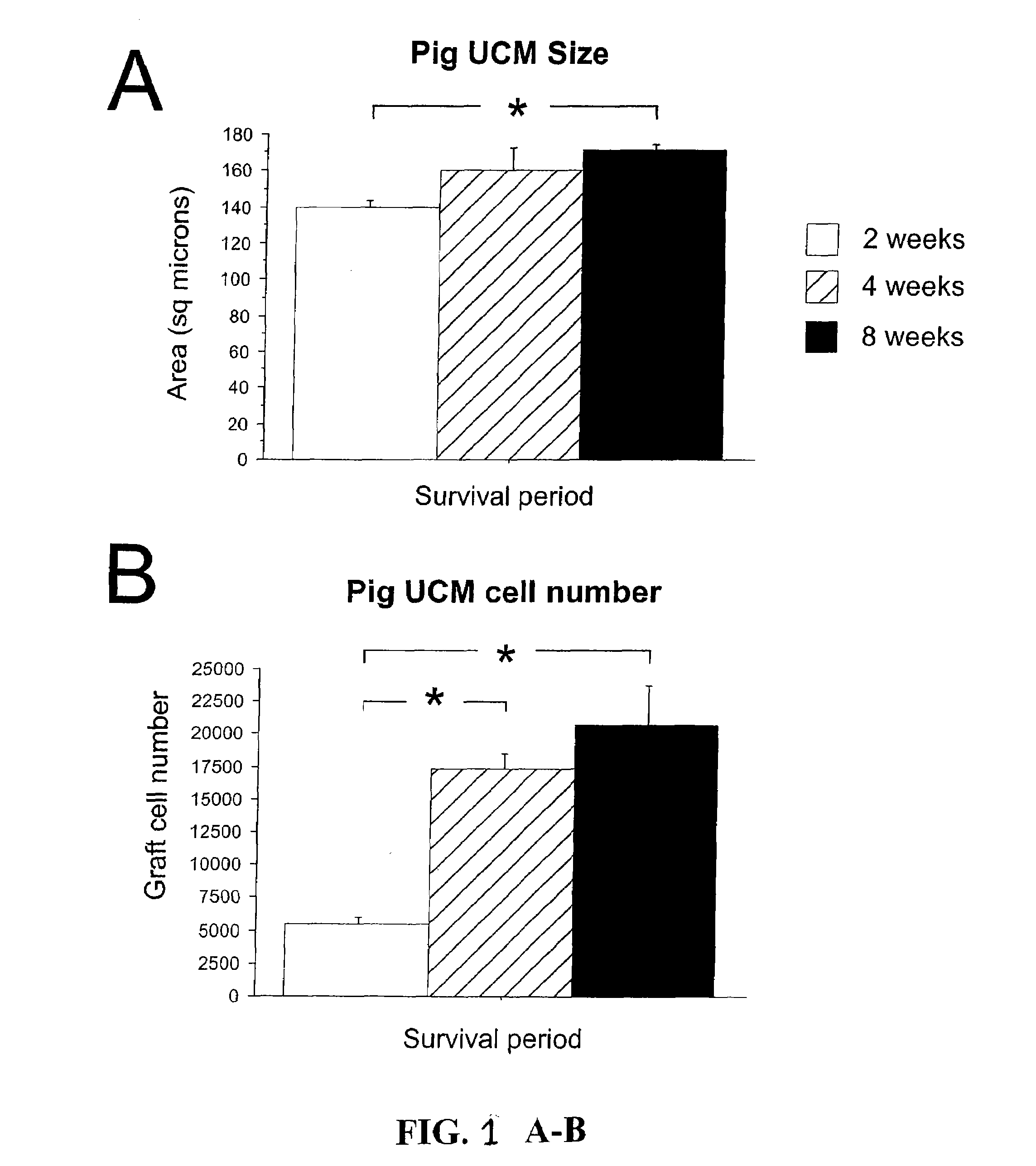 Use Of Umbilical Cord Matrix Cells