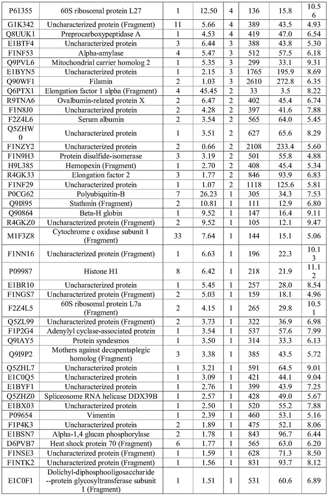 Chick embryo bioactive peptide, preparation method and applications