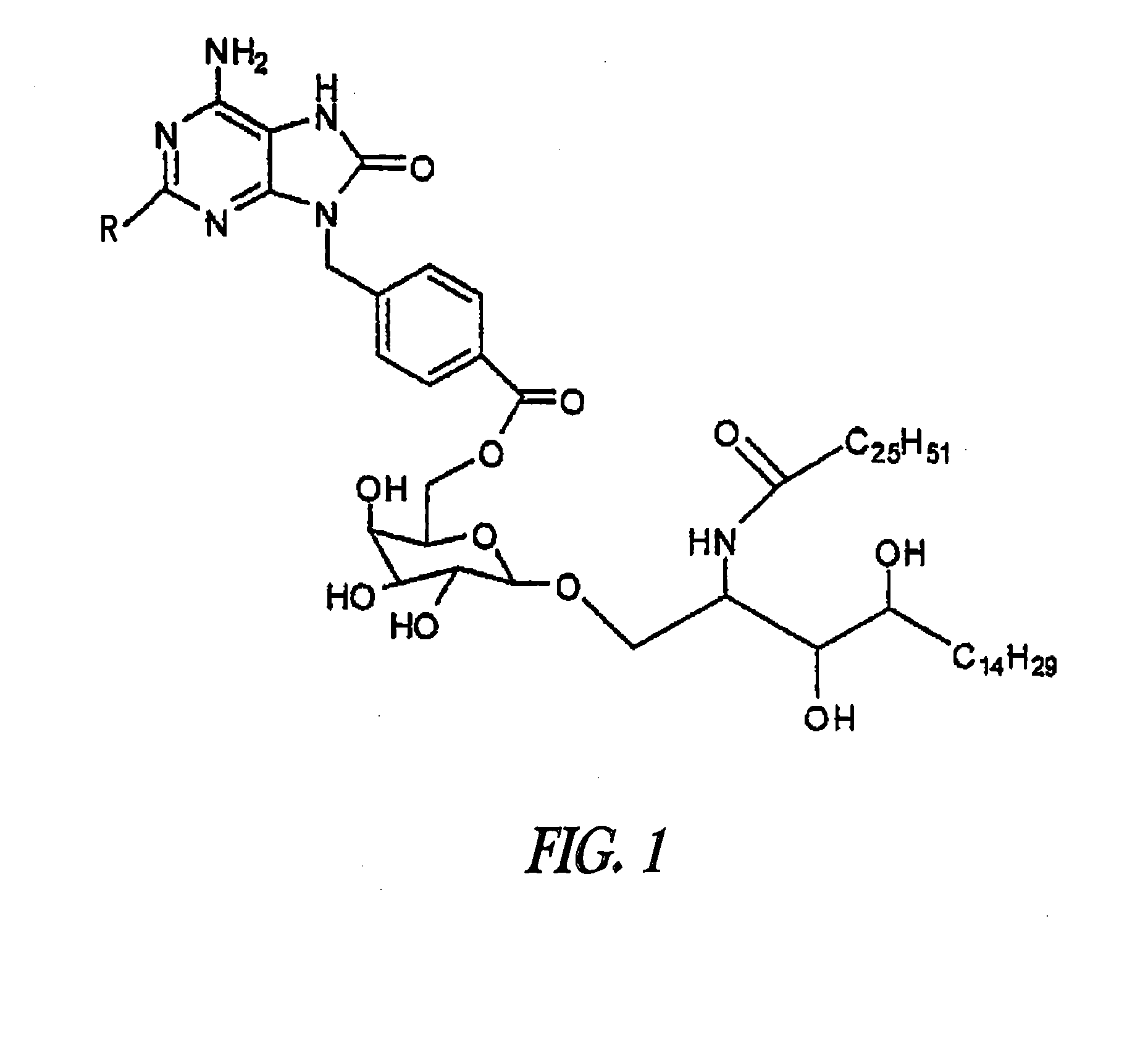 Conjugates of synthetic tlr agonists and uses therefor