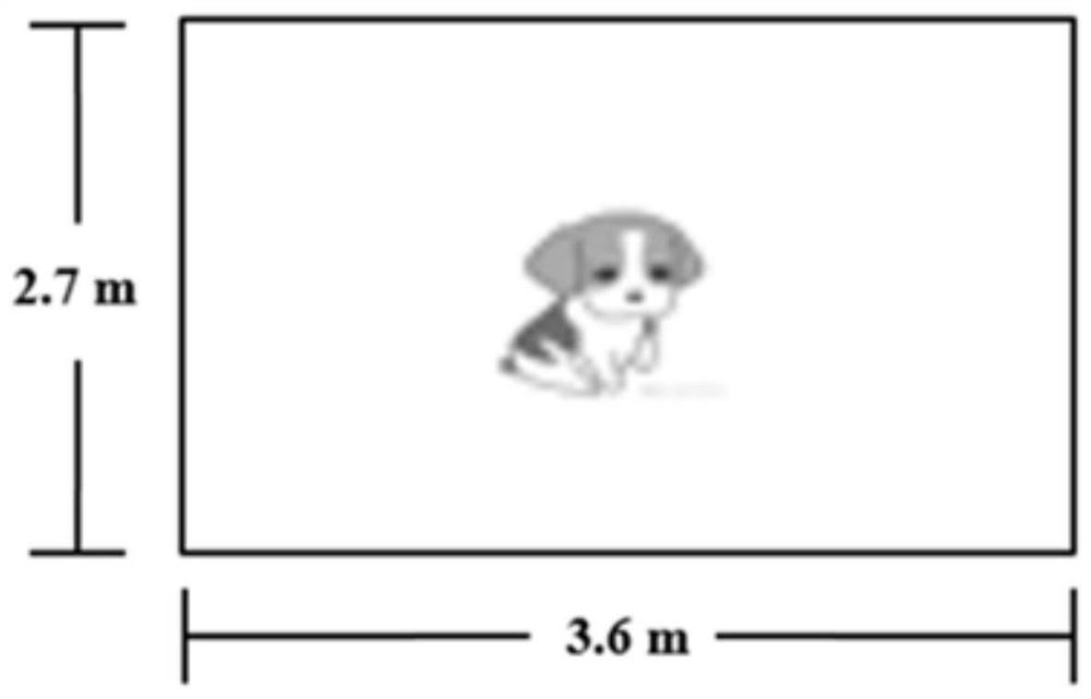 Testing device and method for evaluating social ability between dogs