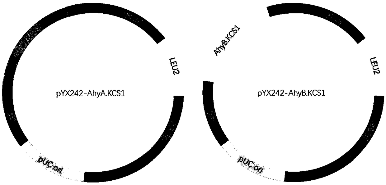 Application of polypeptide in improvement of content of very long chain fatty acids in plants