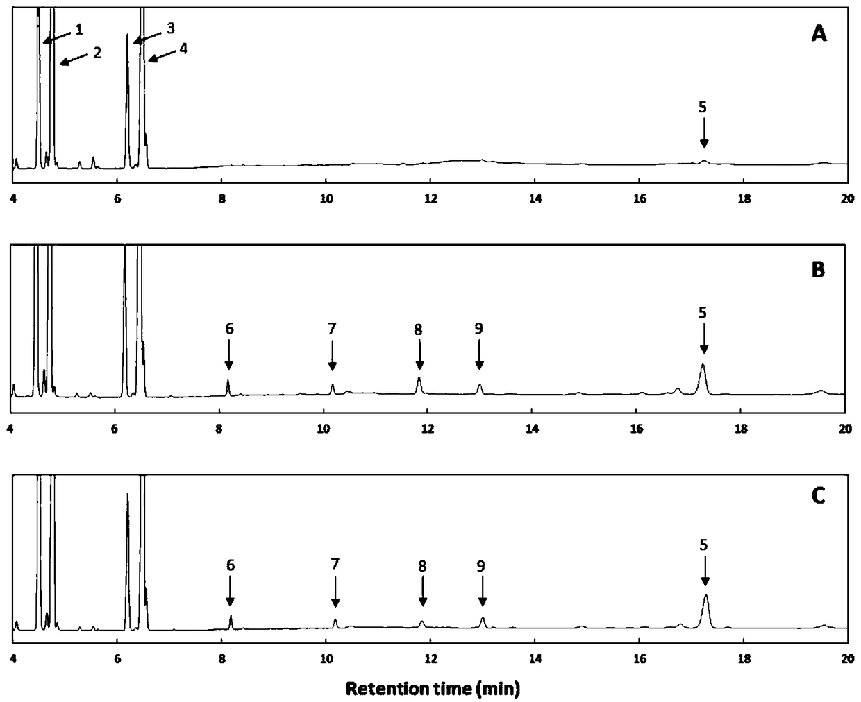 Application of polypeptide in improvement of content of very long chain fatty acids in plants