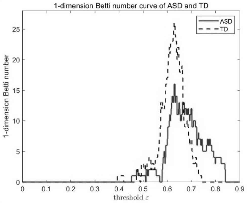 Children autism neurobiological marker searching method based on persistent homology