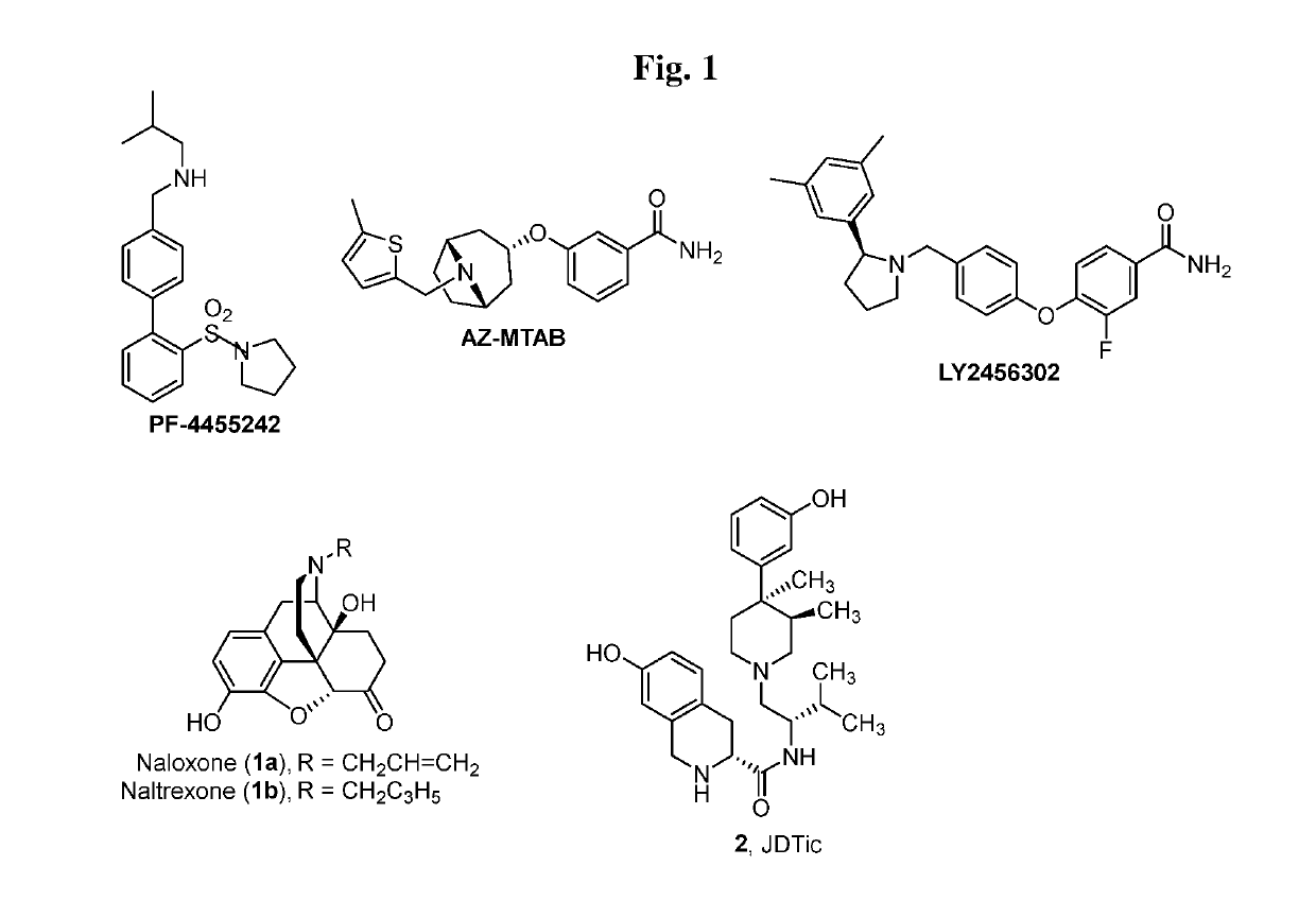 Tetrahydroisoquinoline Kappa Opioid Antagonists