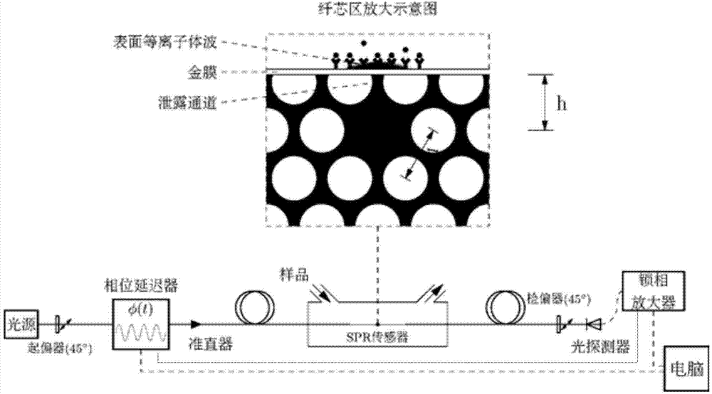 Optical fiber surface plasma resonance sensor, detection system and method