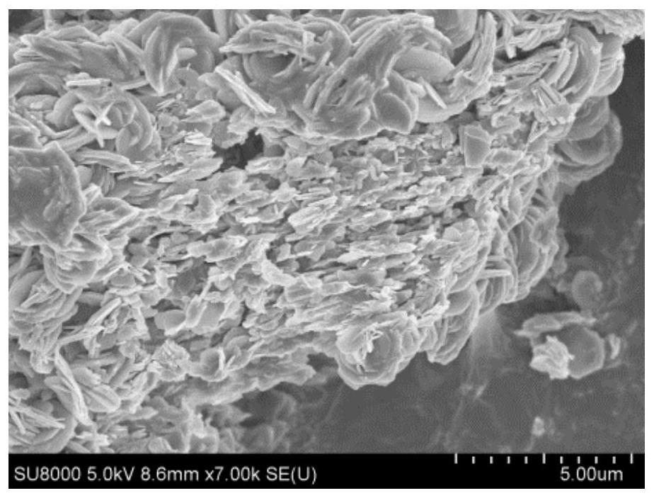 A kind of preparation method and application of vanadium phosphorus oxygen catalyst