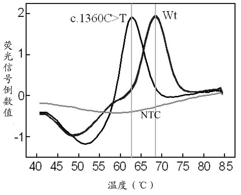 Detection kit for fluorescent PCR (Polymerase Chain Reaction) melting curve of gene mutation of glucose-6-phosphate dehydrogenase