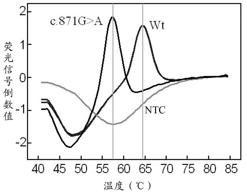 Detection kit for fluorescent PCR (Polymerase Chain Reaction) melting curve of gene mutation of glucose-6-phosphate dehydrogenase