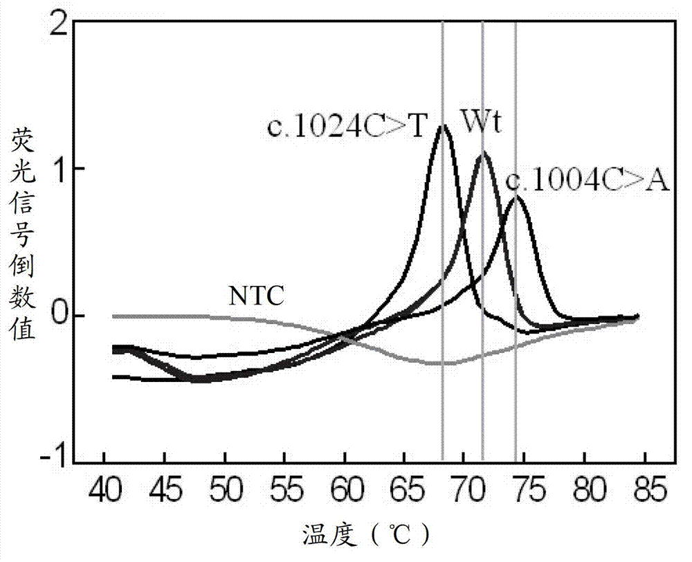 Detection kit for fluorescent PCR (Polymerase Chain Reaction) melting curve of gene mutation of glucose-6-phosphate dehydrogenase