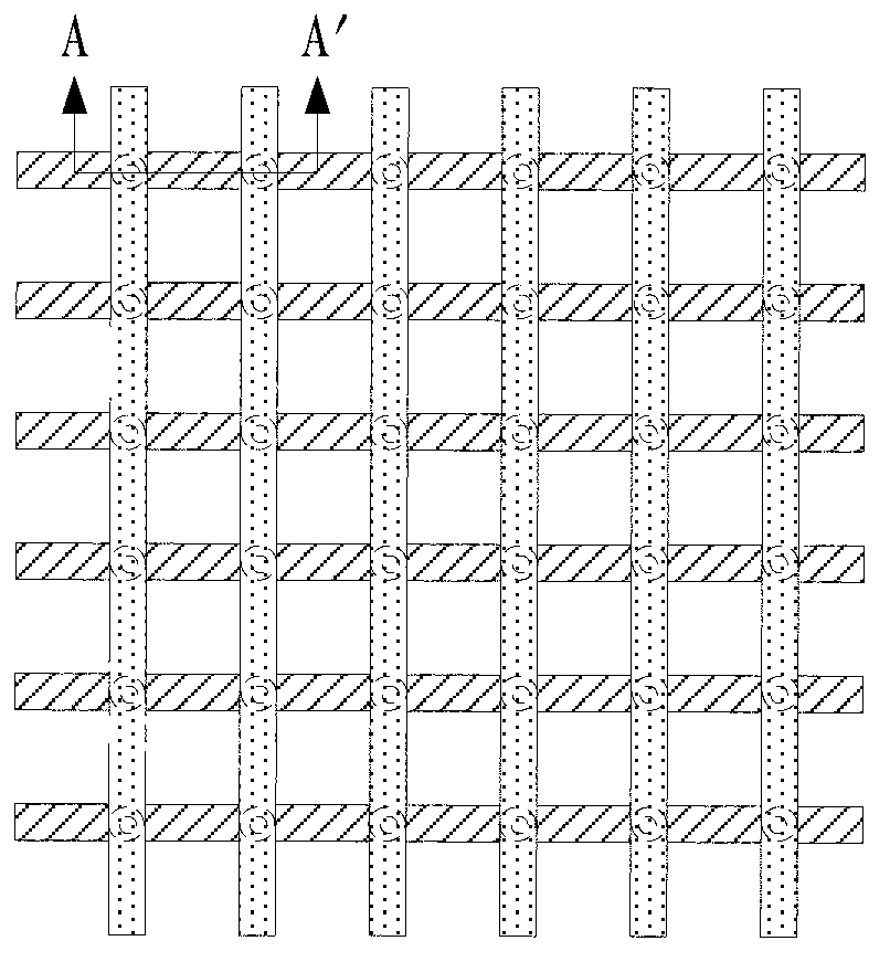 Touch screen and display device capable of achieving 3D display and preparation method thereof