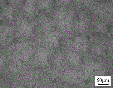 Nickel base single crystal superalloy with low cost and low density