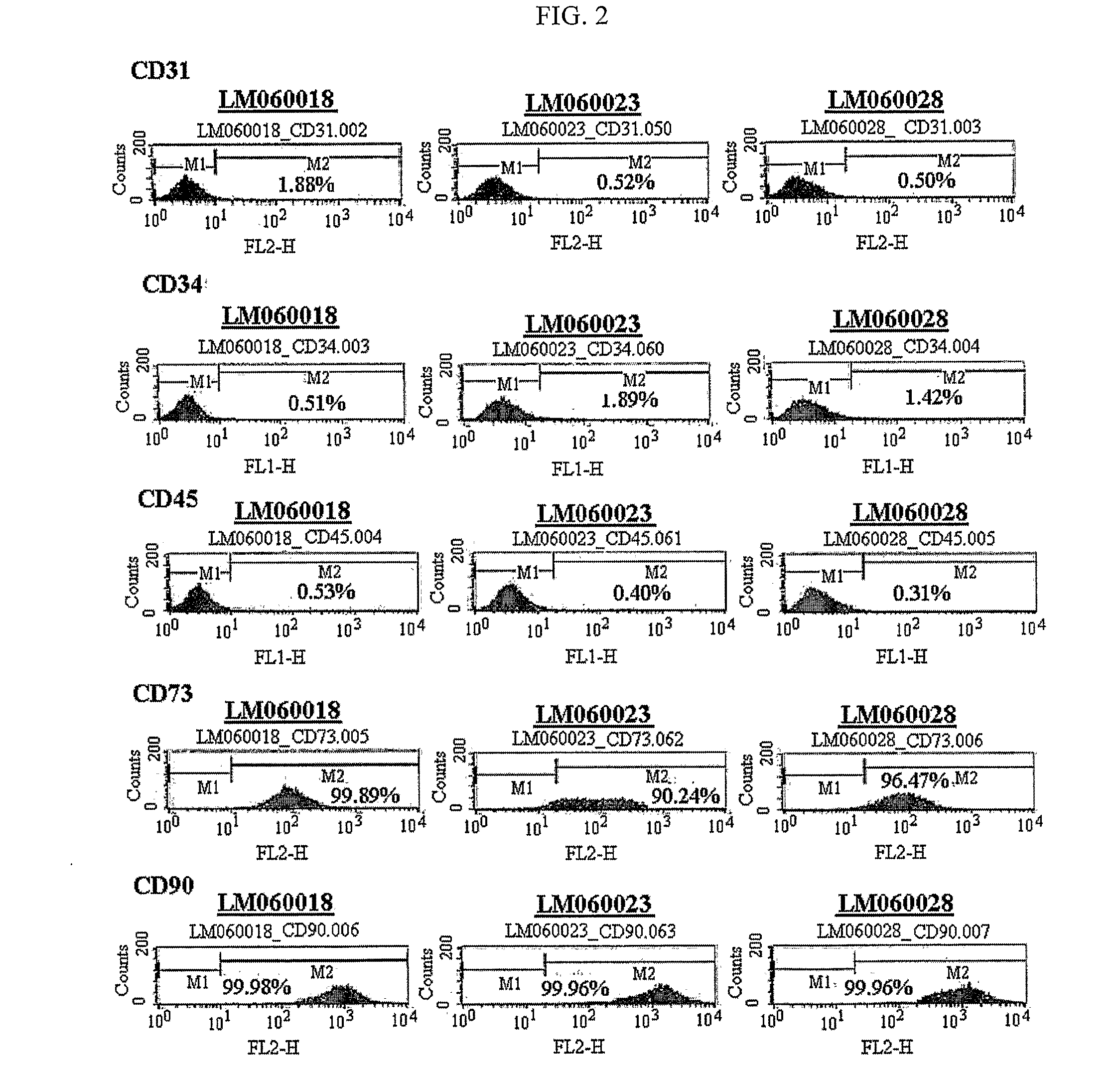 Composition for treating ischemic limb disease comprising stem cells derived from adipose tissue