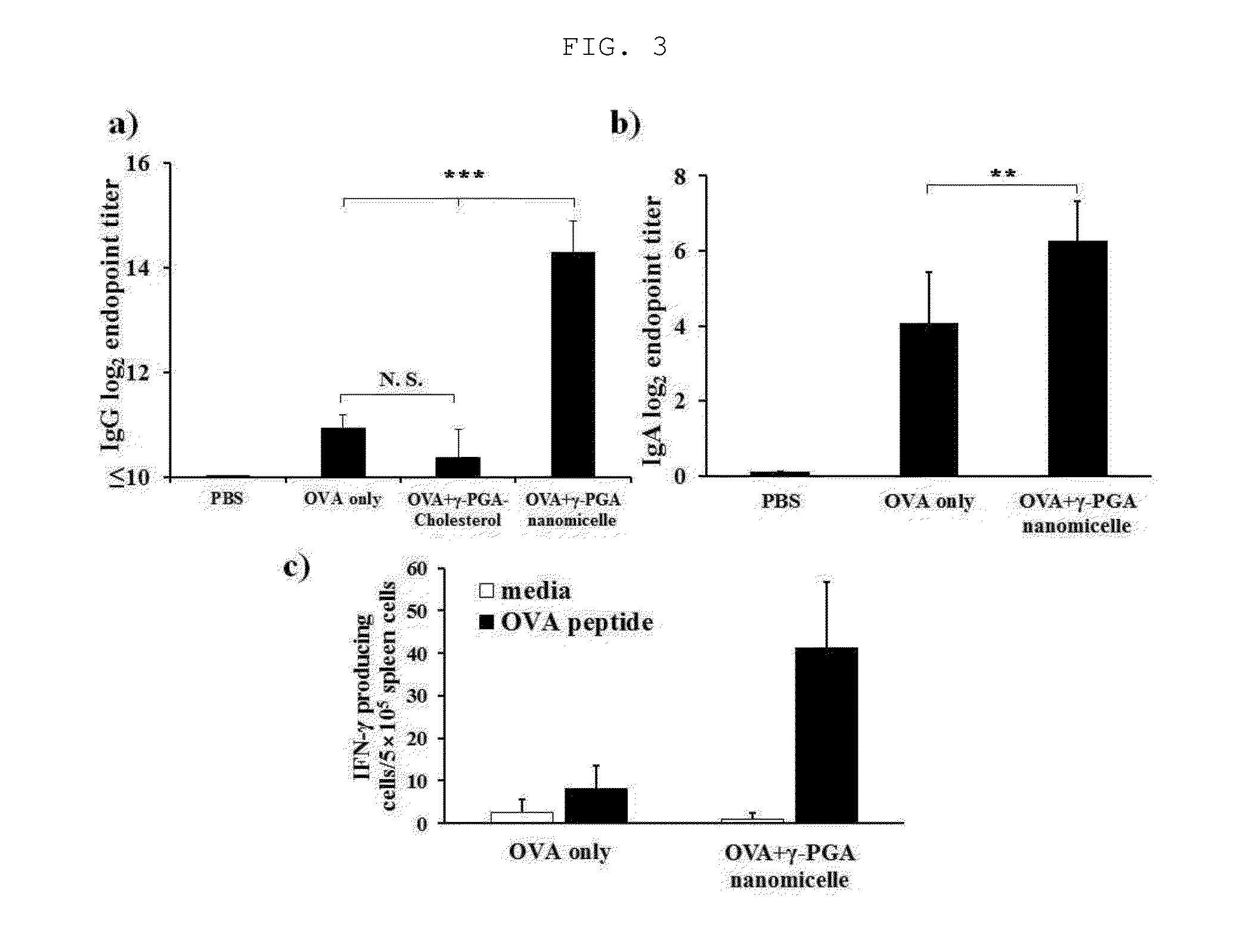 MUCOUS LAYER-ADHESIVE POLY-r-GLUTAMIC ACID NANOMICELLES AND DRUG DELIVERY SYSTEM USING SAME