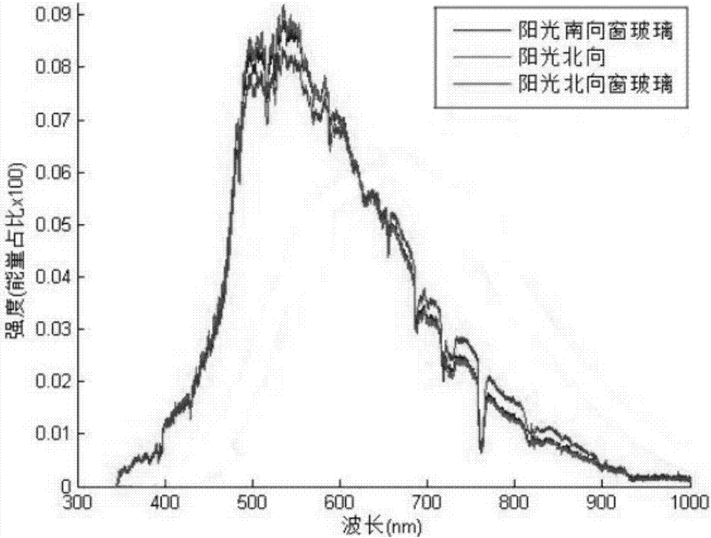 Method for seedling culture of camellia nitidissima twig cultivation group under sunlight