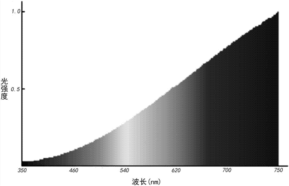 Method for seedling culture of camellia nitidissima twig cultivation group under sunlight