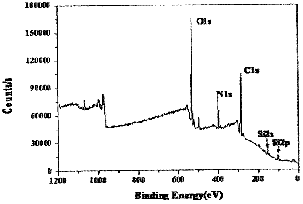 Environment-friendly preparation method of multi-hydroxyl polymer molecular brush