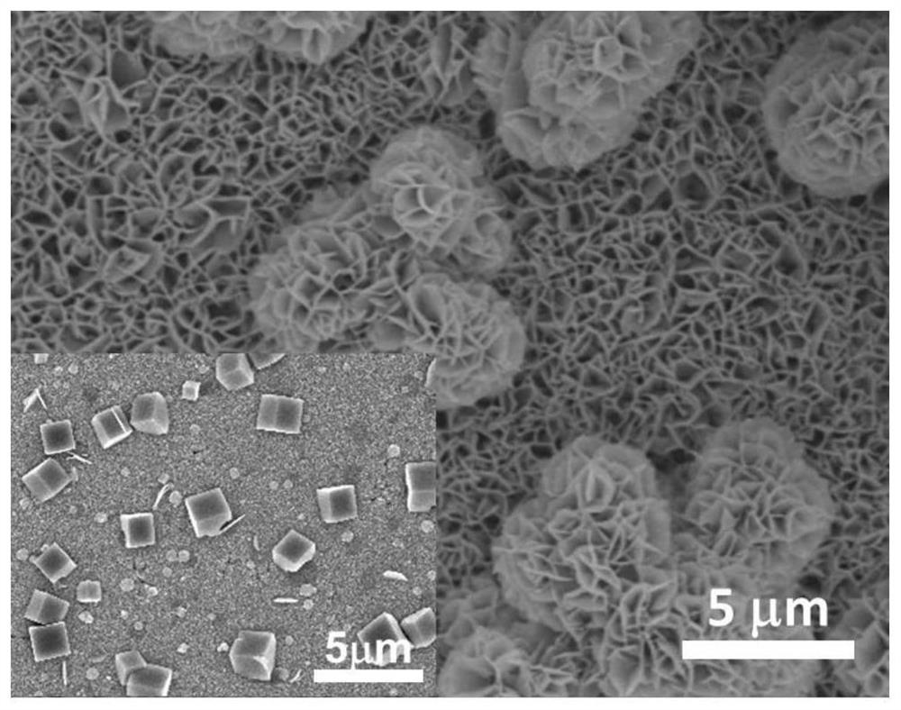 A method for photocatalytic oxidation of xylose using indium sulfide/nickel-cobalt-aluminum hydrotalcite composite film