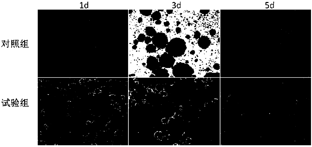 Islet cell cryopreservation solution and use method thereof