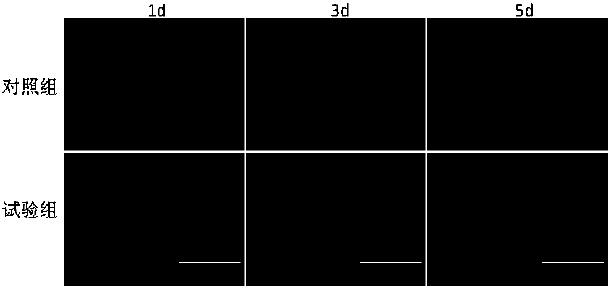 Islet cell cryopreservation solution and use method thereof