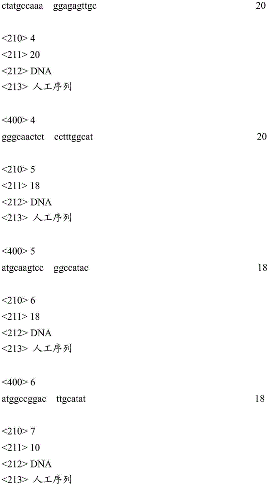 Method using miRNA399j gene for prediction of bacterial leaf blight of rice