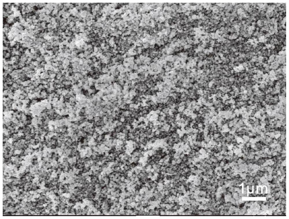 Preparation method of tantalum oxide/tantalum carbide composite material as well as product and application thereof