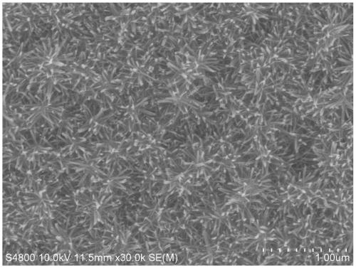 Preparation method and array of titanium dioxide nanorod array with branched structure on top