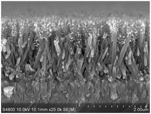 Preparation method and array of titanium dioxide nanorod array with branched structure on top