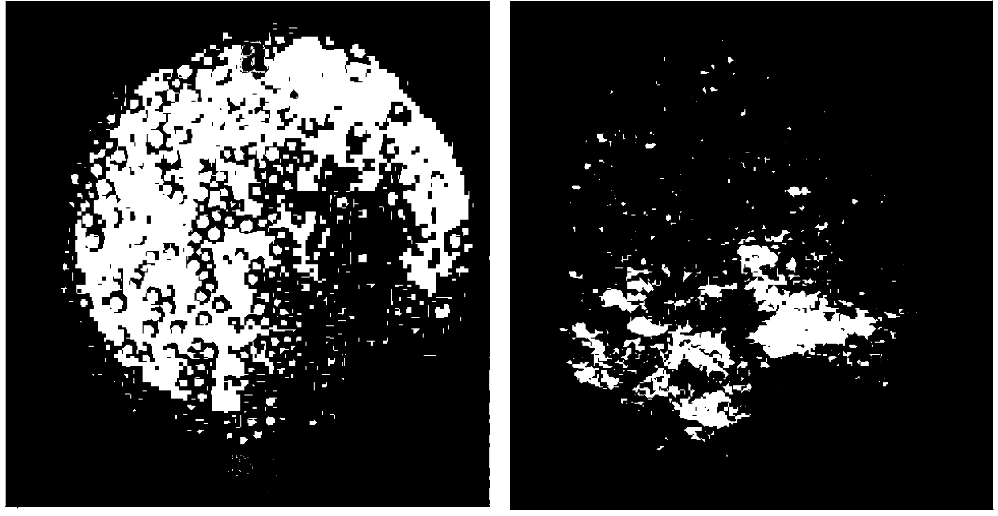 Preparation method of polymethyl methacrylate macroporous microsphere adsorbent