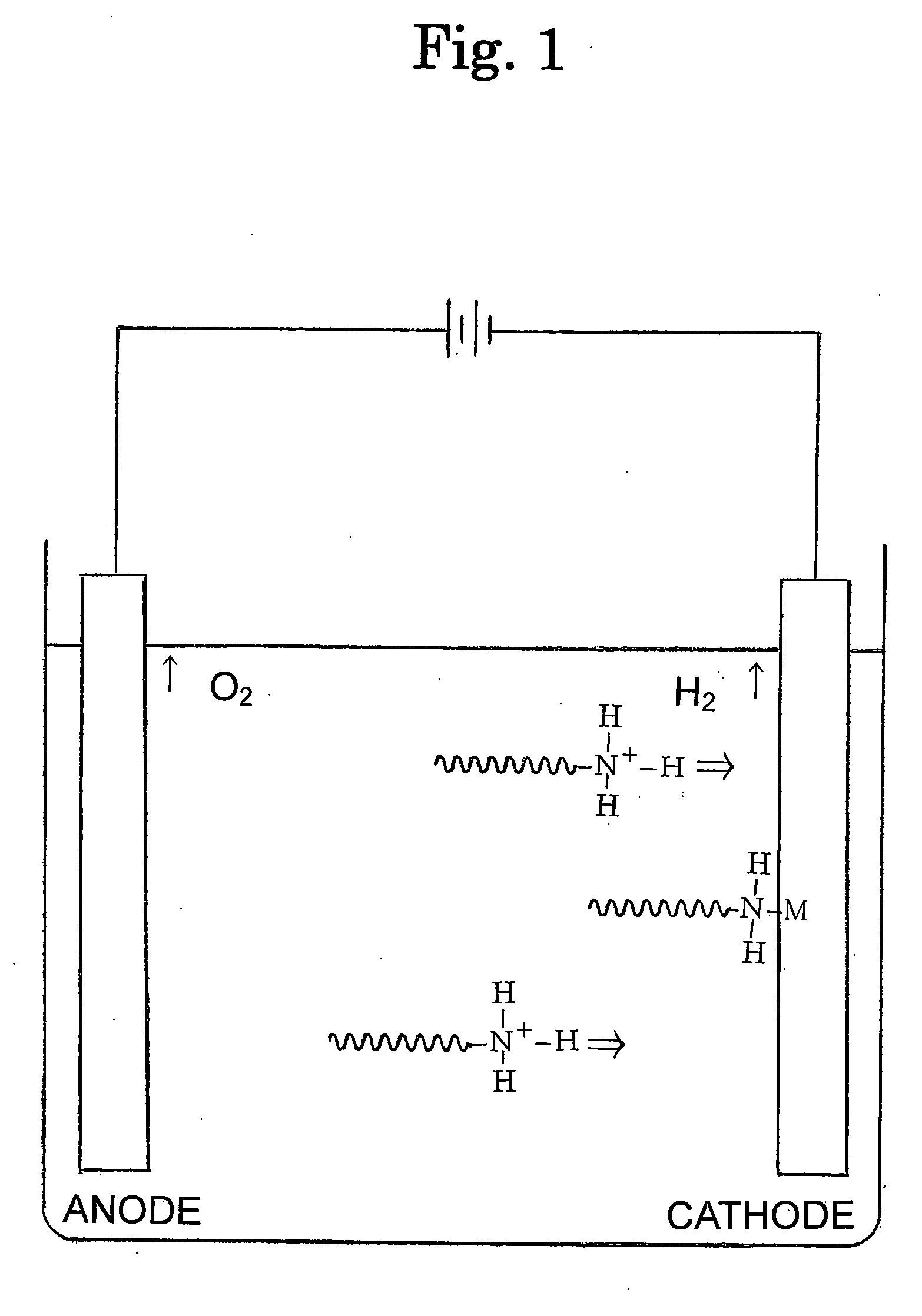 Medical Appliance and Process for Producing the Appliance