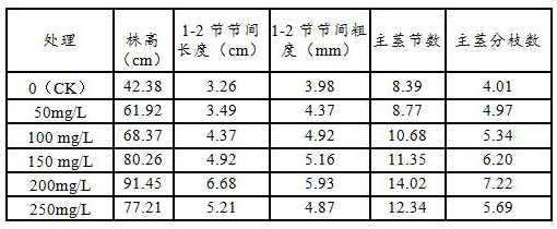 Cultivation method for improving fullness of thin-shell tartary buckwheat