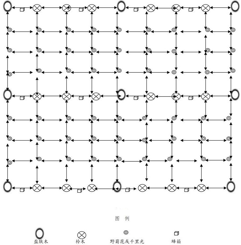 Three-dimensional planting method for autumn nectariferous plants