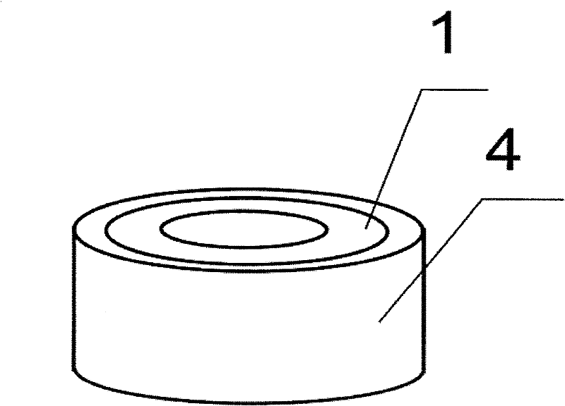 Hepaticojejunostomic and intestinal end-to-side anastomotic magnetic device