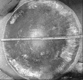 Swaging integrated forming process for large-diameter AQ80M magnesium alloy cake material