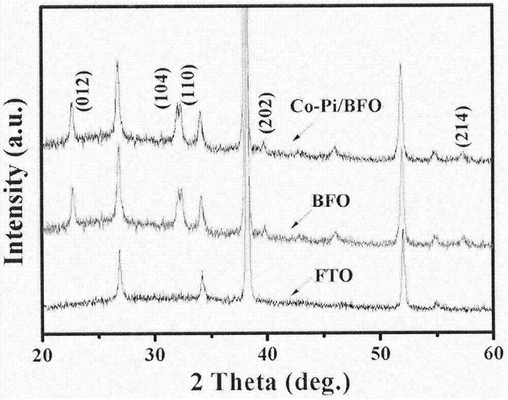 Modified BiFeO3 thin film photoelectrode adopting cobaltous phosphate promoter and preparation method thereof