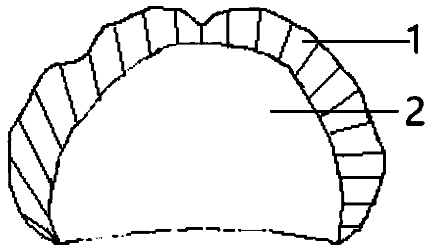 A kind of complete denture and preparation method thereof