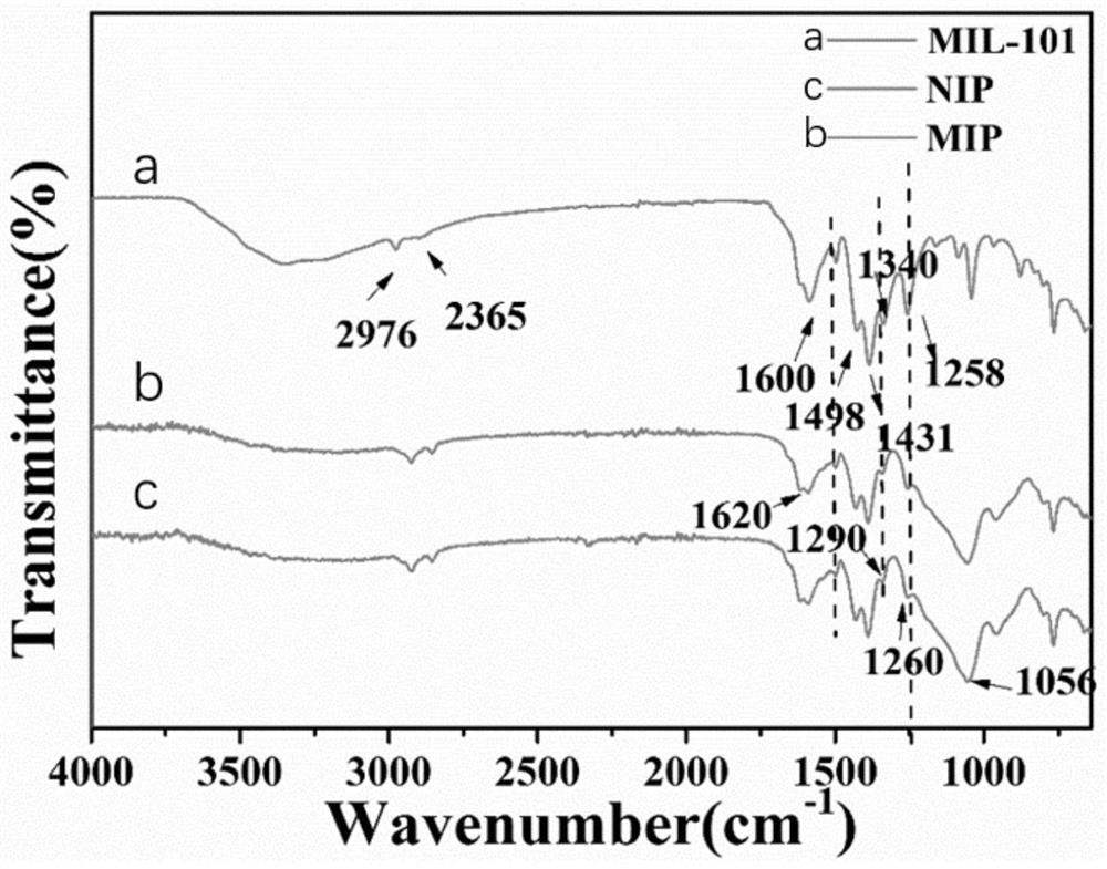 Preparation method and application of molecular imprinting ratio type fluorescence sensor for detecting hepatitis B virus