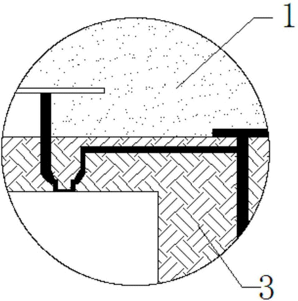 Integrated system fingerprint chip packaging structure and fingerprint module