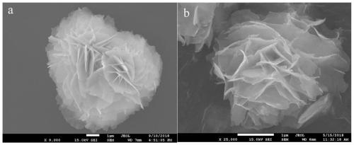 Biomimetic construction method of g-C3N4/BiOI-pDA@PVDF photocatalytic membrane and application thereof