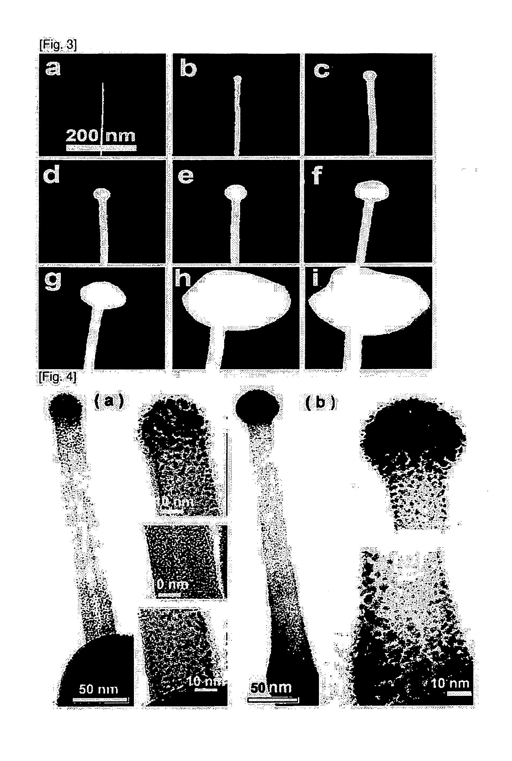 Spm nanoprobes and the preparation method thereof