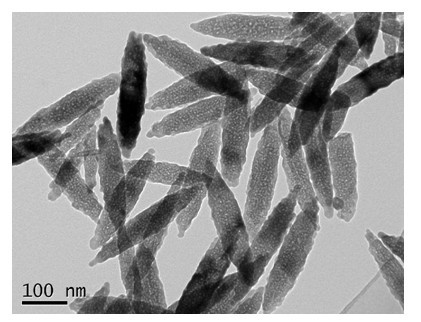 Preparation method of load-type silver nano-composite material