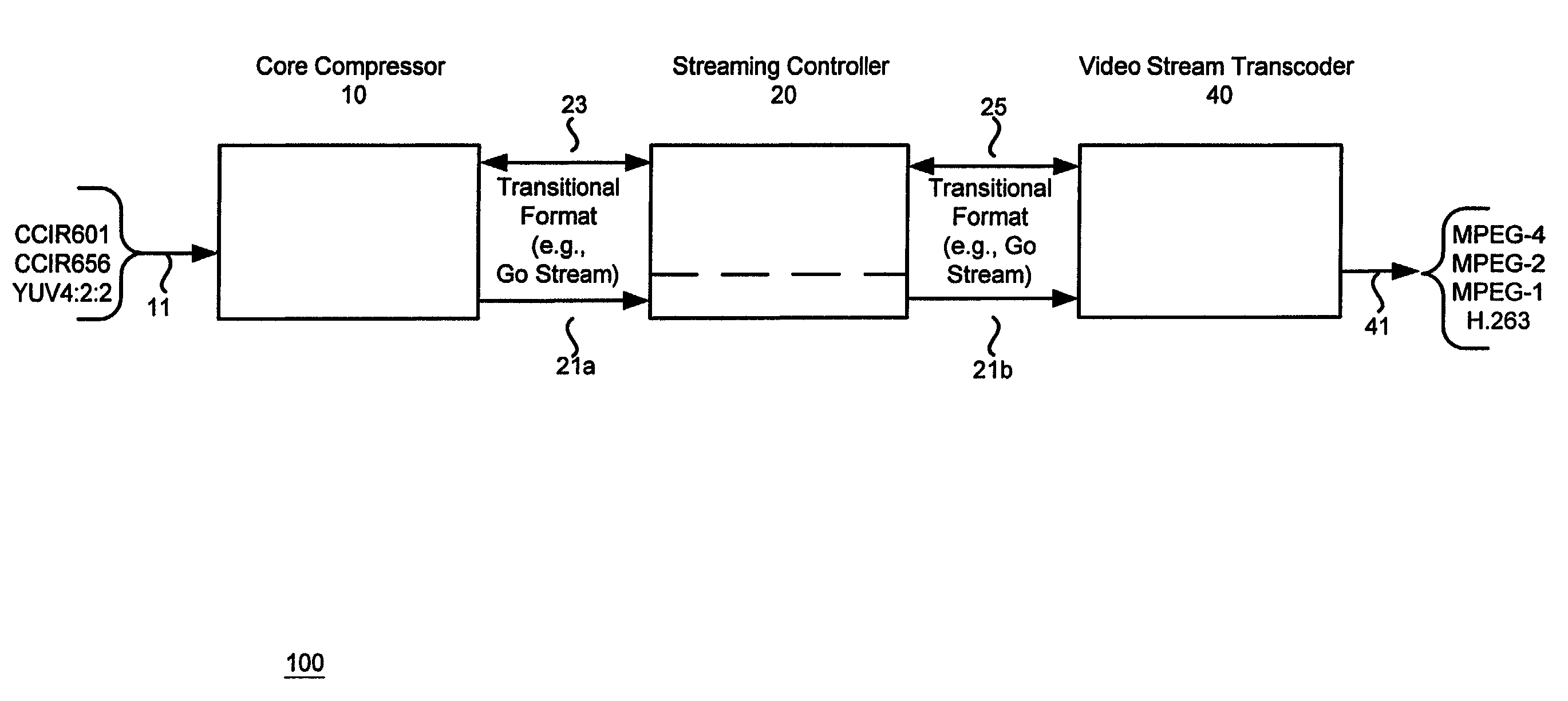 Multiple format video compression