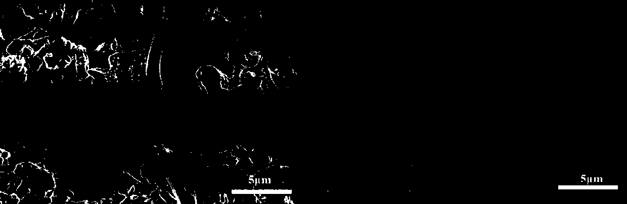 Lithium metal battery negative electrode dendrite inhibitor