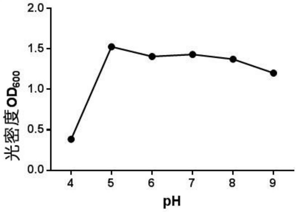 A kind of Citrobacter strain and its application