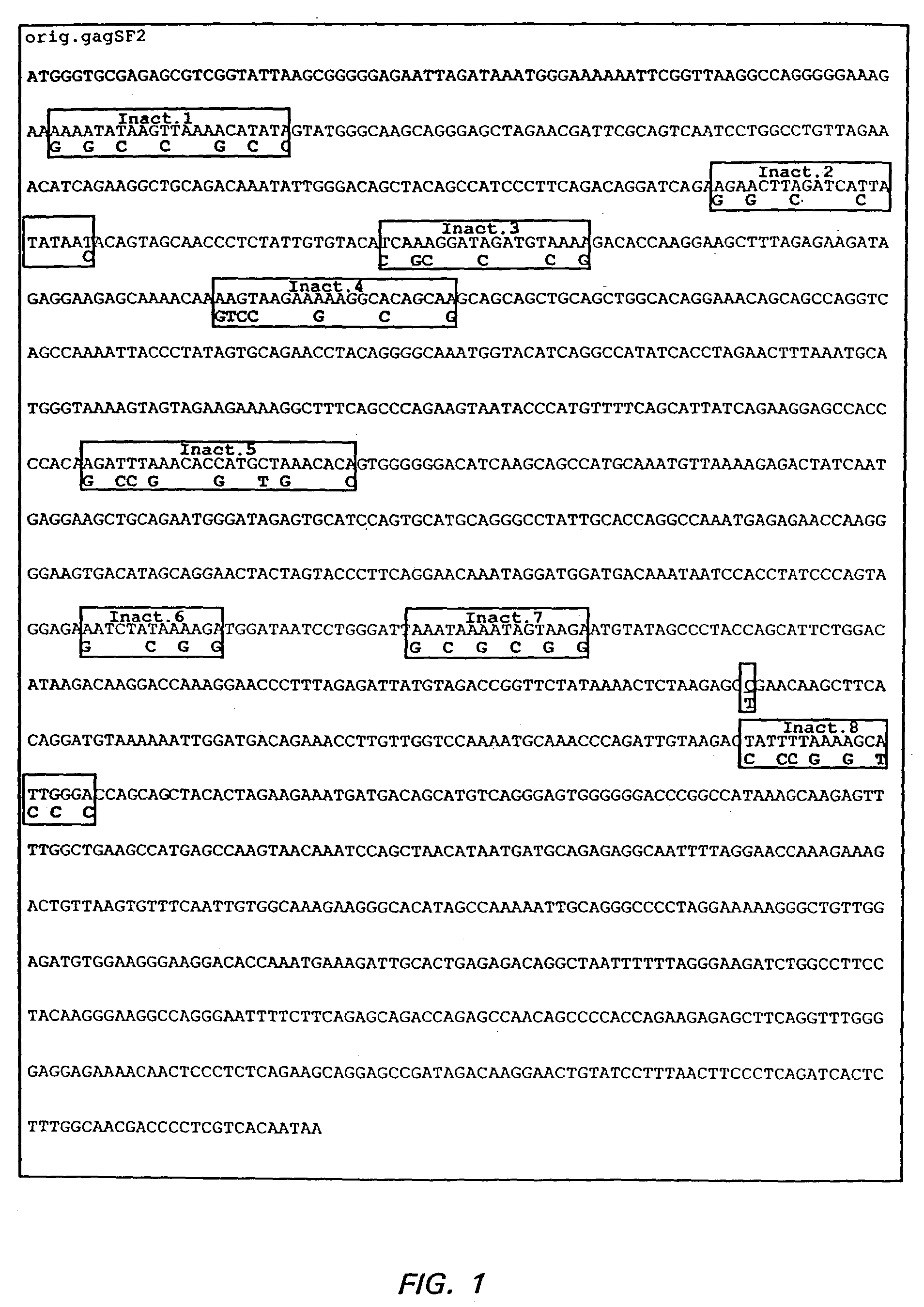 Expression of HIV polypeptides and production of virus-like particles