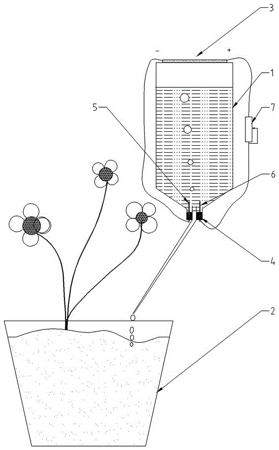 A plant watering device