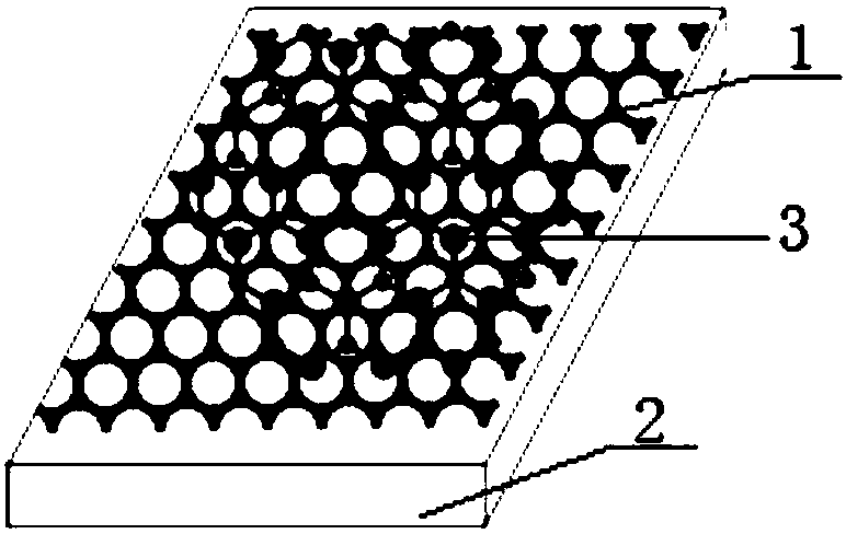 Transition metal chalcogenide nanowire and preparation method and application thereof