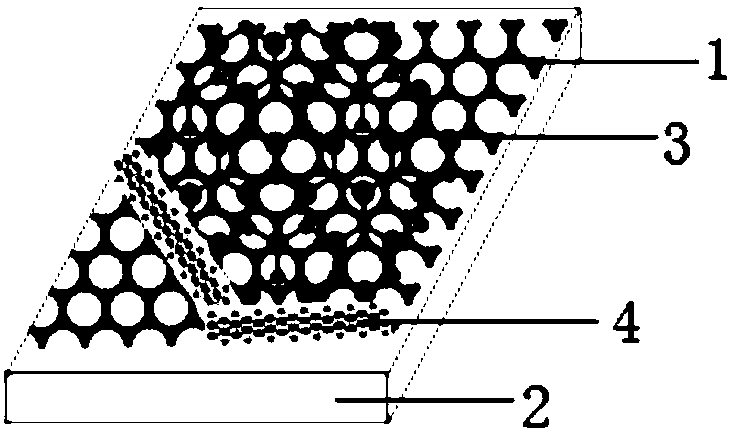 Transition metal chalcogenide nanowire and preparation method and application thereof