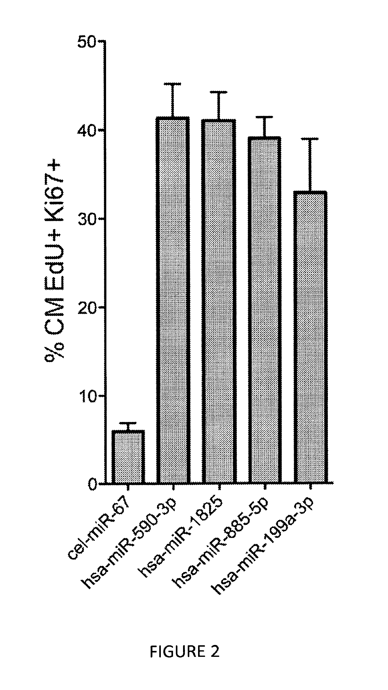 MicroRNAs for cardiac regeneration through induction of cardiac myocyte proliferation