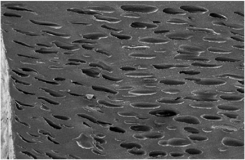 Flame-retardant polyester composition and foaming beads and plate thereof