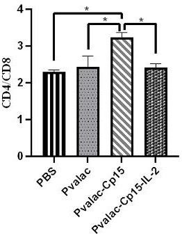 Cryptosporidium parvum Cp15 recombinant invasive lactic acid bacteria live vector vaccine